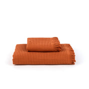 Terracotta Santana
