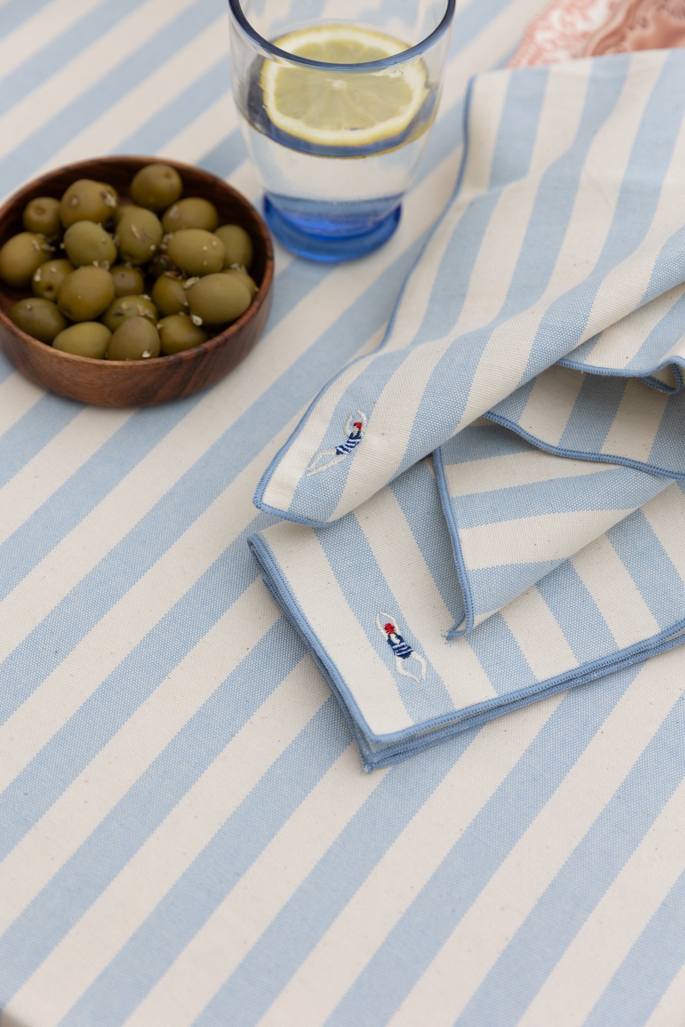 Barra Napkins with embroidery