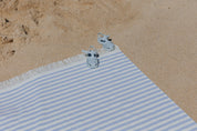 Barra family size - Torres Novas