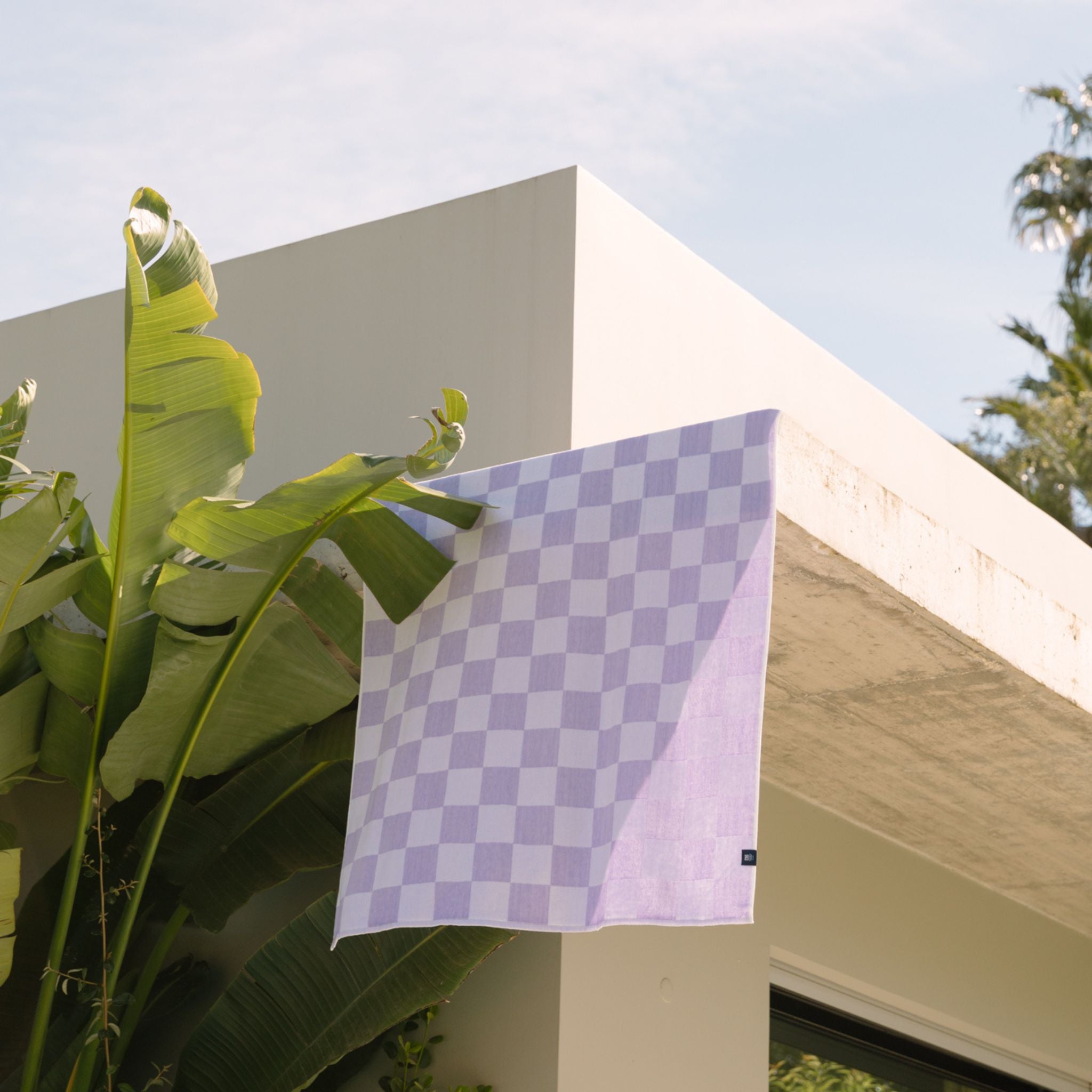 Lavender chequered Gibalta