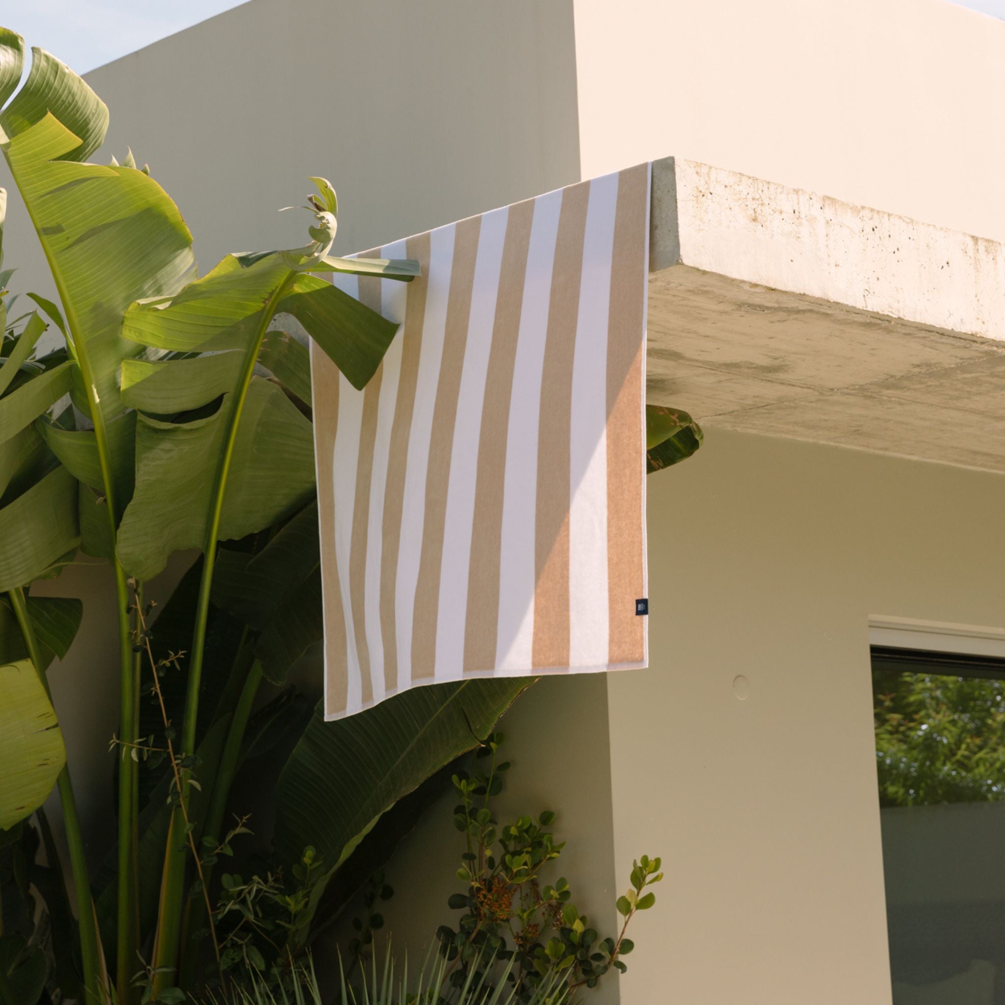 Beige Gibalta