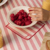Barra napkins with small christmas embroidery - Torres Novas