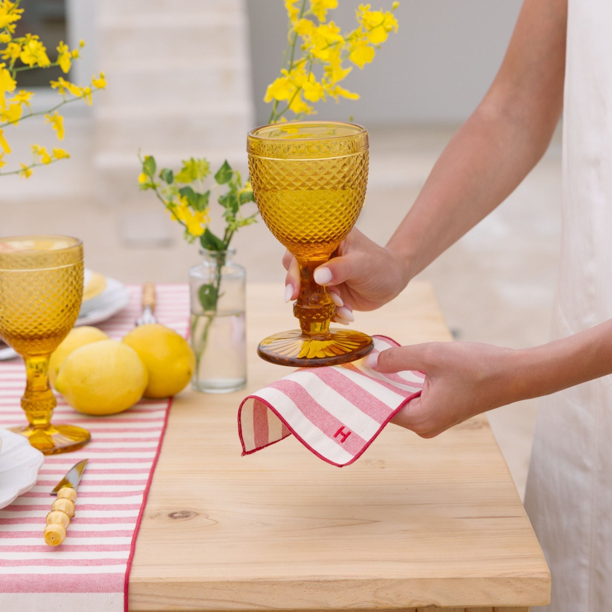 Barra Cocktail Napkins